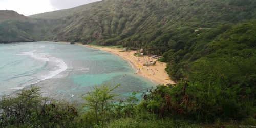 High angle view of sea and trees