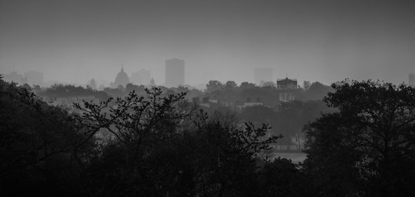 Trees and cityscape against sky