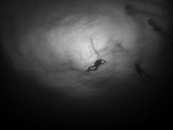 Silhouette person swimming in sea