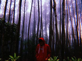 Rear view of man standing against trees in forest