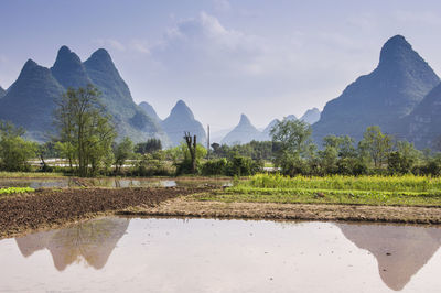 Scenic view of agricultural field against sky