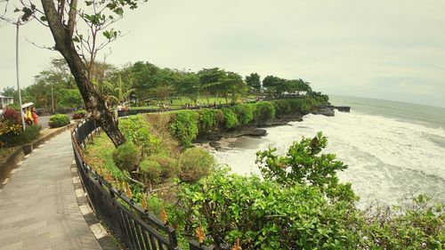 Panoramic view of footpath by trees against sky