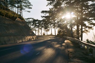 Road passing through forest