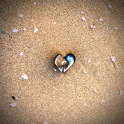 High angle view of shells on sand