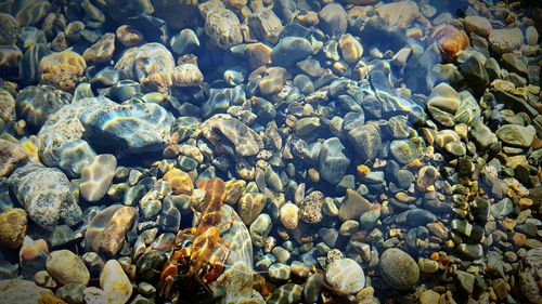 Full frame shot of pebbles