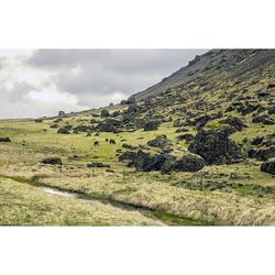 Scenic view of grassy field against cloudy sky