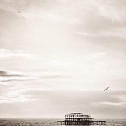 Birds flying over sea against sky