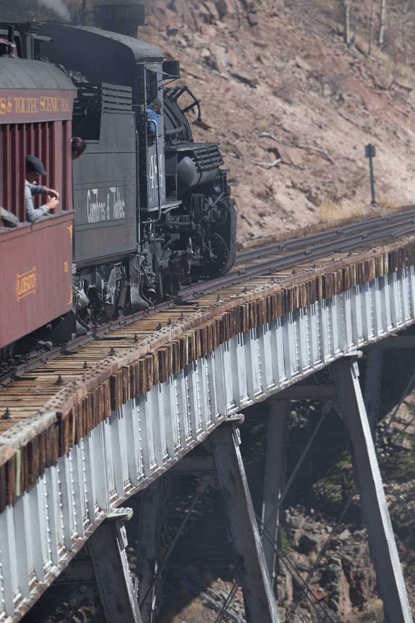 TRAIN ON RAILROAD TRACK AMIDST TREES