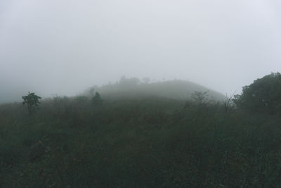 Scenic view of landscape against sky during foggy weather