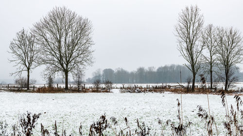 Bare trees on snow covered field against sky