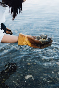 Woman on beach picking oysters with rawhide gloves