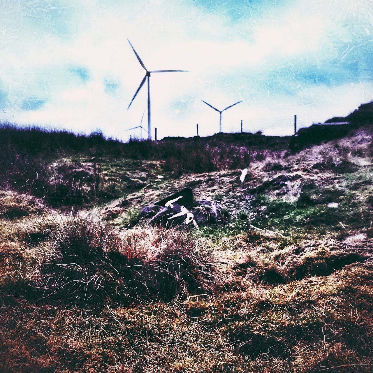 WIND TURBINES ON FIELD