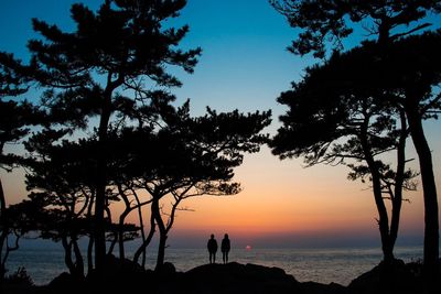 Silhouette of couple on seashore at sunset