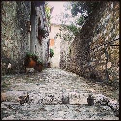 Narrow walkway along trees