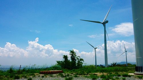 Wind turbines on field