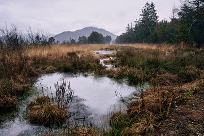 Scenic view of lake against sky