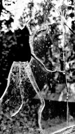 Close-up of water on window