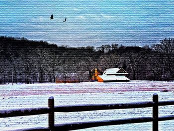 Snow on tree against sky during winter