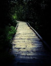 Footpath amidst trees in forest