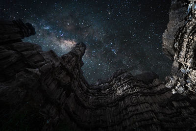 Scenic view of tree against sky at night