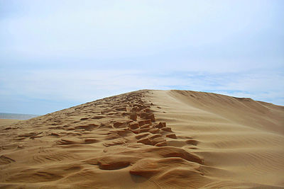 View of sand dunes in desert