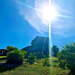 Low angle view of sun shining on sunny day