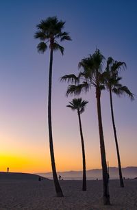 Silhouette palm trees on beach against sky during sunset