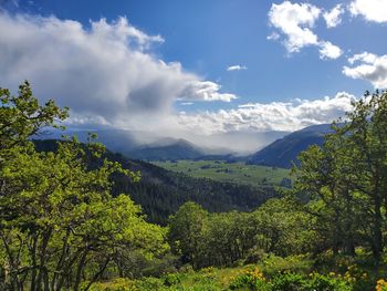 Scenic view of landscape against sky