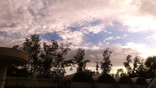 Low angle view of trees against cloudy sky