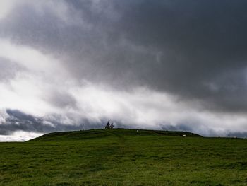 Scenic view of grassy field against sky