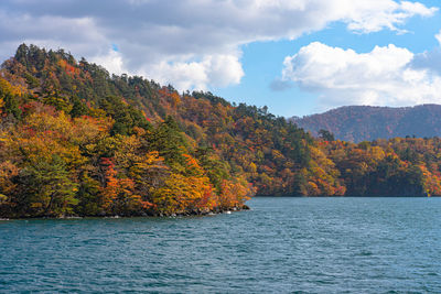 Scenic view of lake by trees against sky during autumn