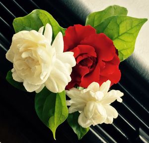 Close-up of rose bouquet