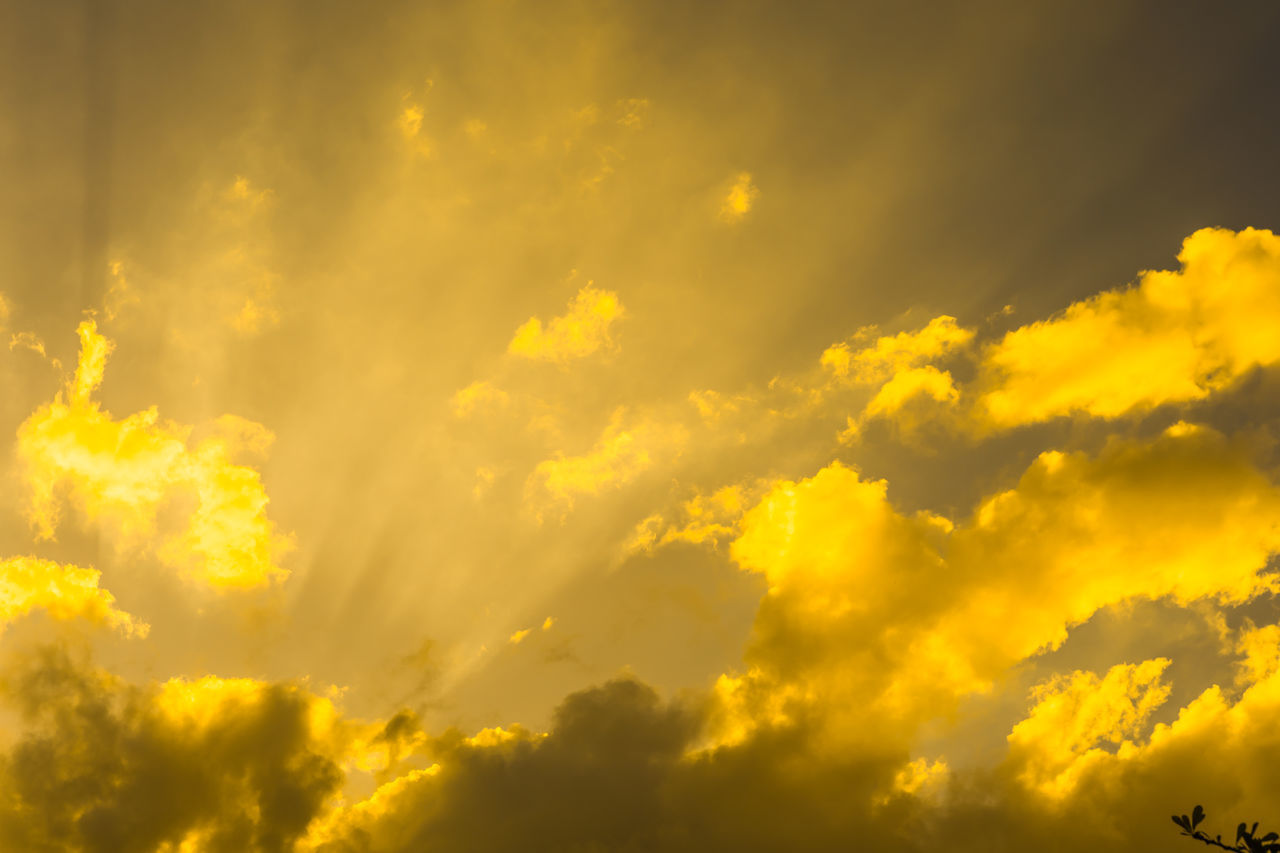 LOW ANGLE VIEW OF YELLOW SKY