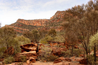 Scenic view of mountain against sky