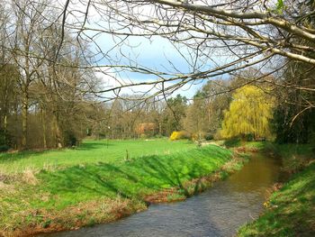 Footpath in park