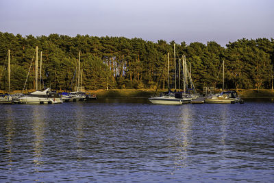 Marina with yachts and boats at sunny autumn evening