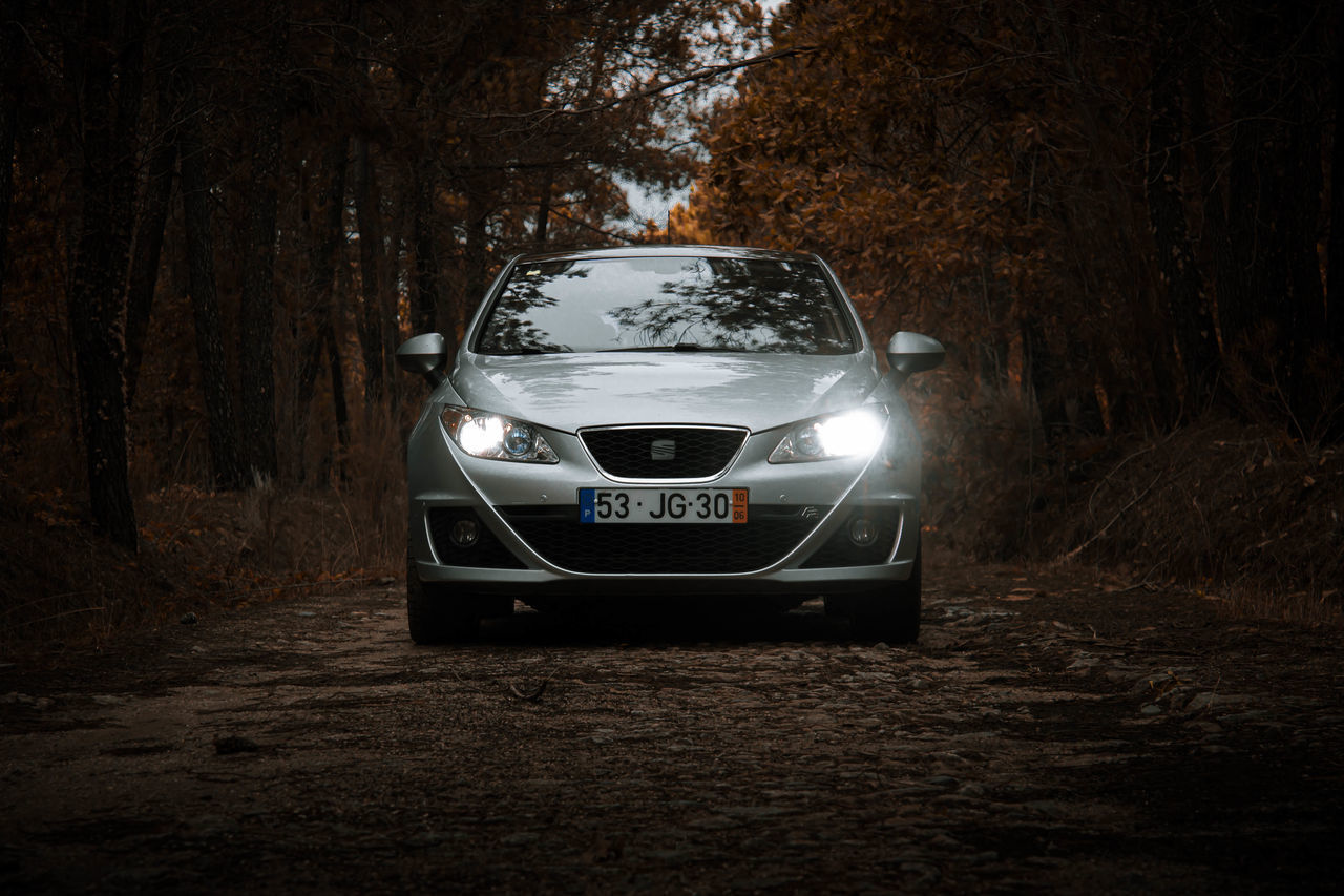 CAR ON ROAD IN FOREST