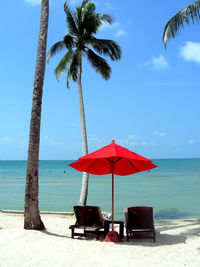 Lounge chairs and palm trees on beach against sky