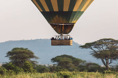 Low angle view of hot air balloons