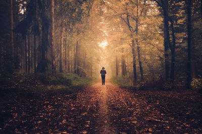 Rear view of man walking in forest during autumn