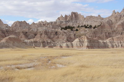 Panoramic view of landscape