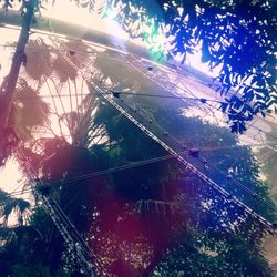 Low angle view of plants against sky