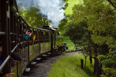 Rear view of woman on train amidst trees