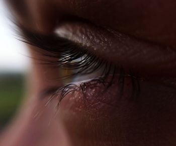 Cropped image of human eye