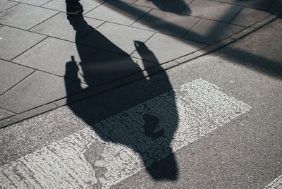 High angle view of person walking on street during sunny day