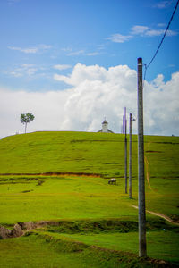 Scenic view of grassy field against sky