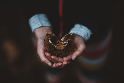 Midsection of person holding fruit