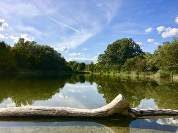 Scenic view of lake by trees against sky