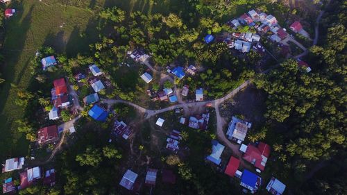 High angle view of street amidst trees and buildings at night