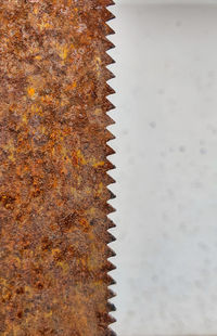 High angle view of tree